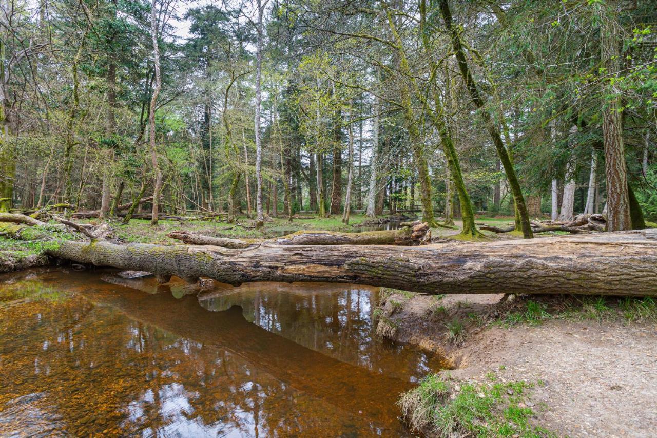Forest Park Country Hotel & Inn, Brockenhurst, New Forest, Hampshire Exteriör bild