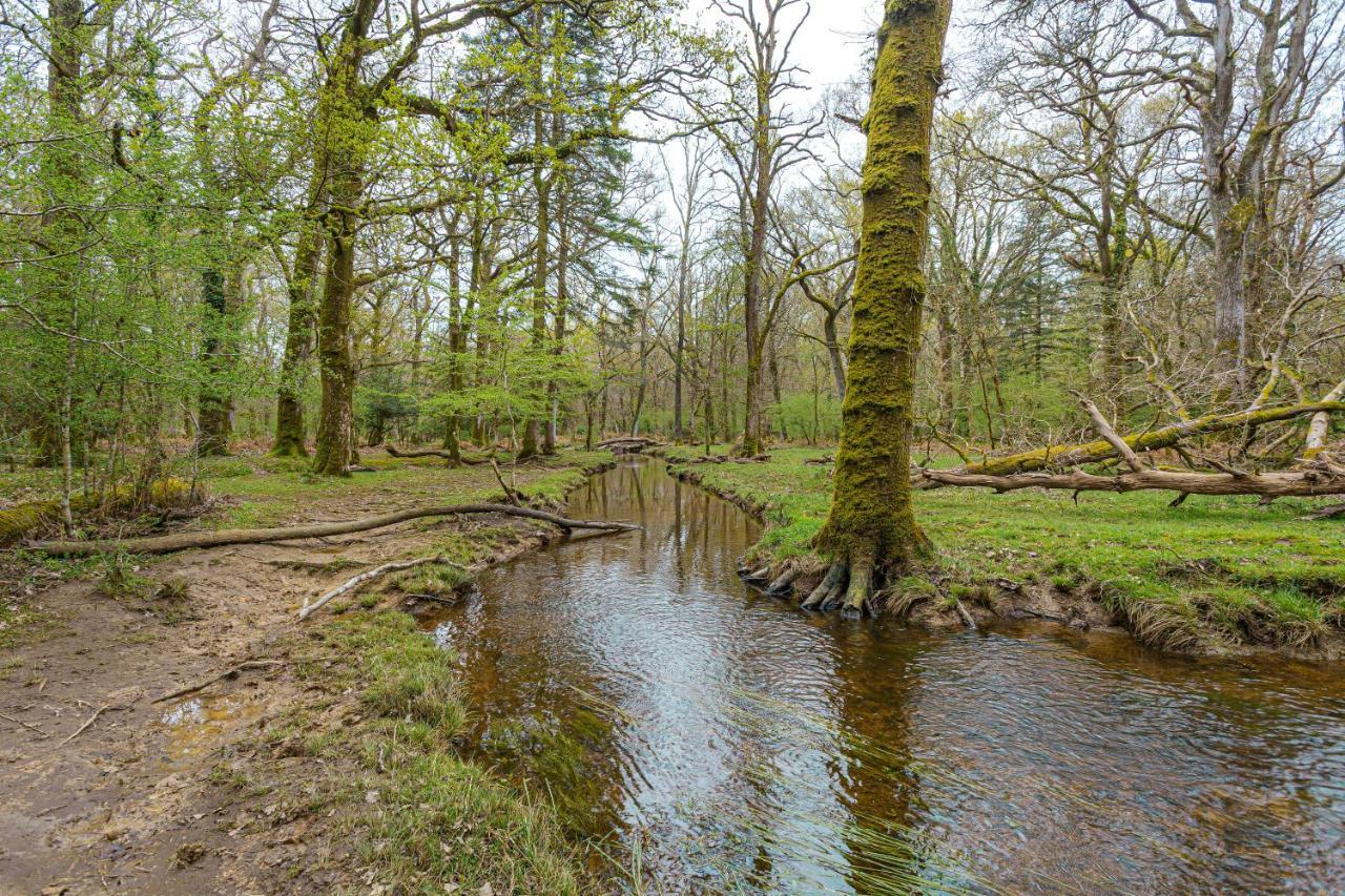 Forest Park Country Hotel & Inn, Brockenhurst, New Forest, Hampshire Exteriör bild